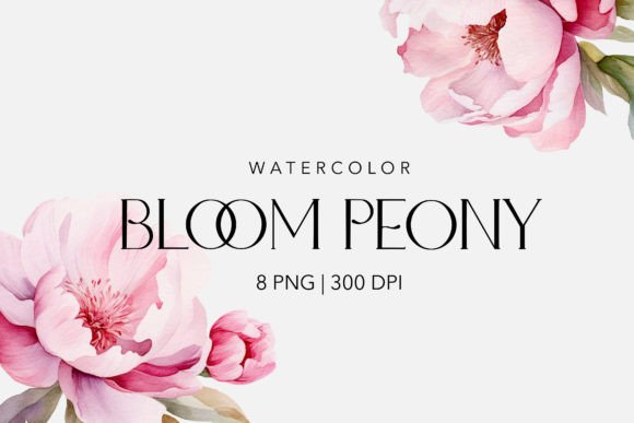Download Watercolor Peony&amp;Magnolia Flowers - Watercolor Collection